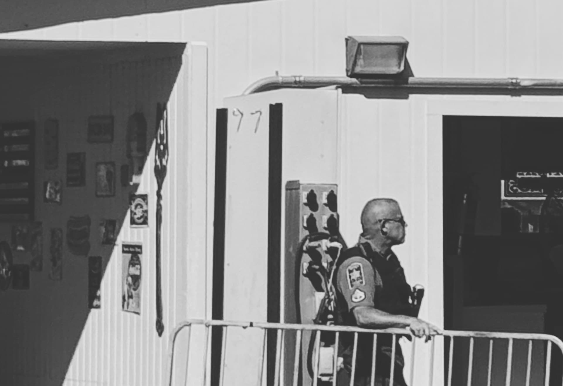 Professional security services